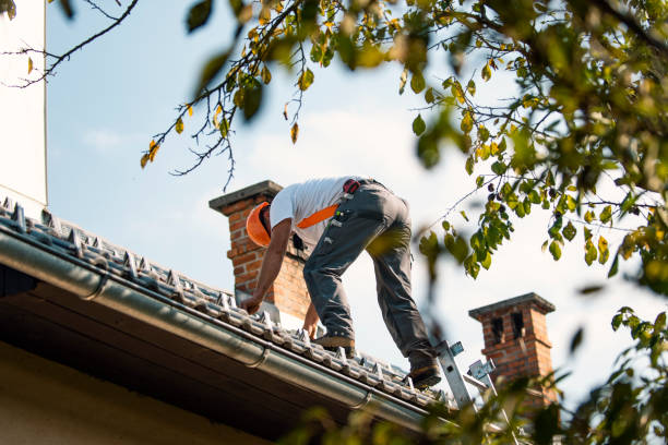 Best Residential Roofing Contractor  in Atlanta, IL